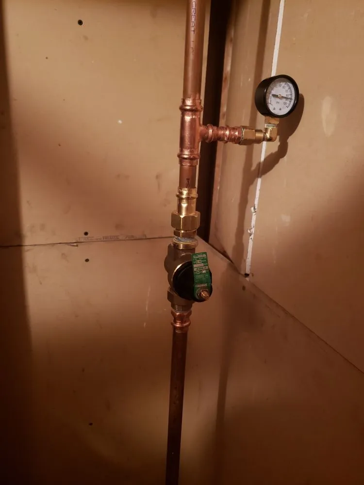 Slide of Alligators Rooter