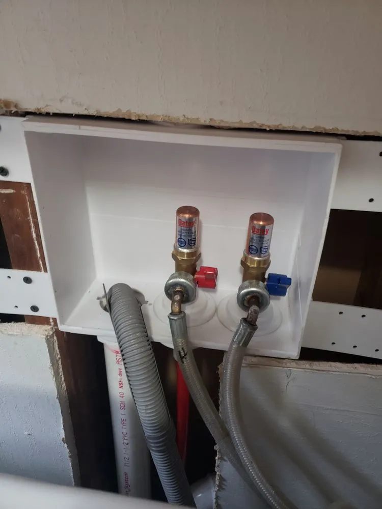 Slide of Alligators Rooter