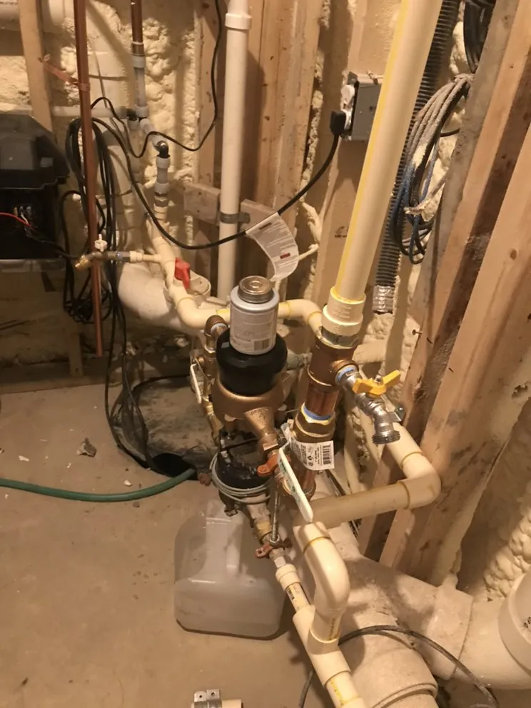 Slide of Alligators Rooter