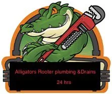 Slide of Alligators Rooter