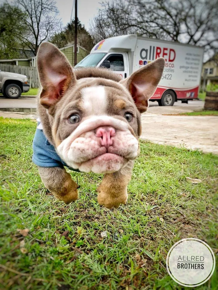 Slide of Allred Brothers Plumbing Specialties