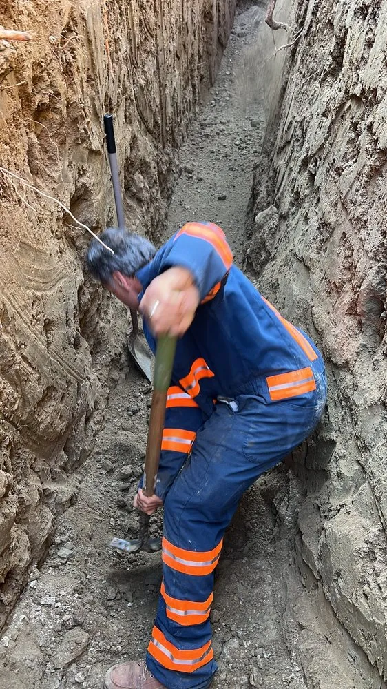 Slide of Allstar Rooter