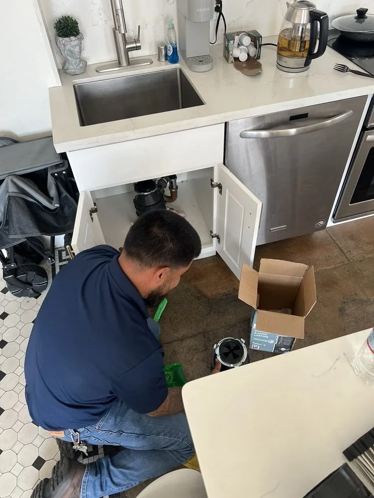 Slide of Allstar Rooter