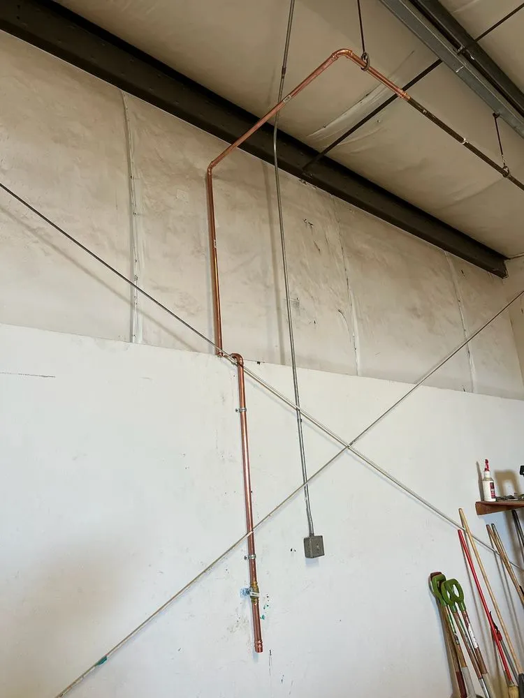 Slide of Allstar Rooter