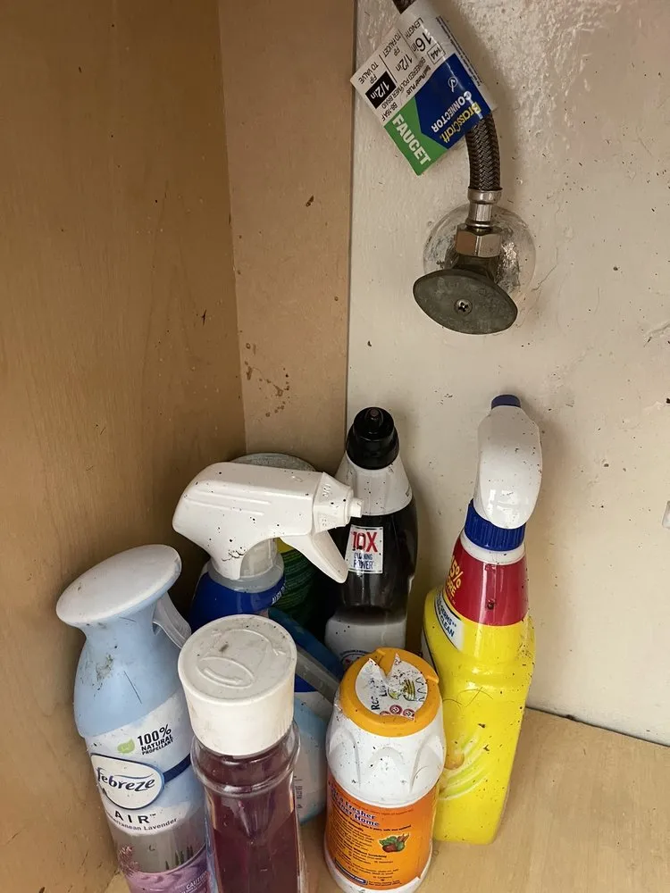 Slide of Allstar Rooter