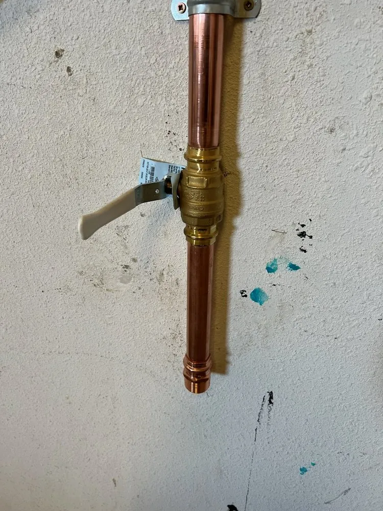 Slide of Allstar Rooter