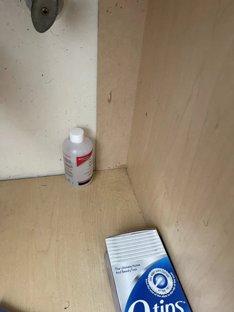 Slide of Allstar Rooter