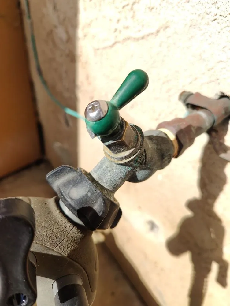 Slide of Allstar Rooter