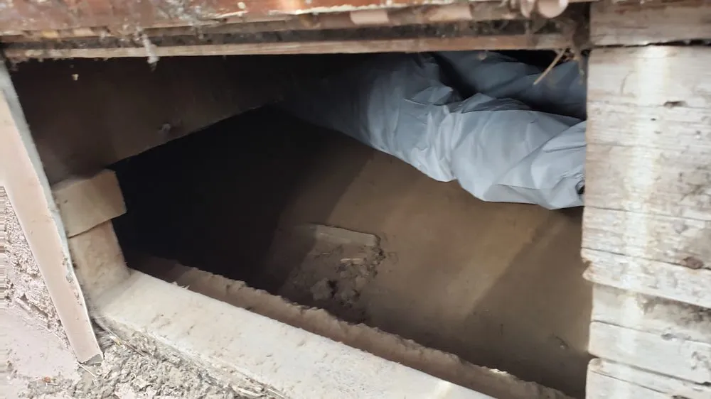 Slide of Allstar Rooter