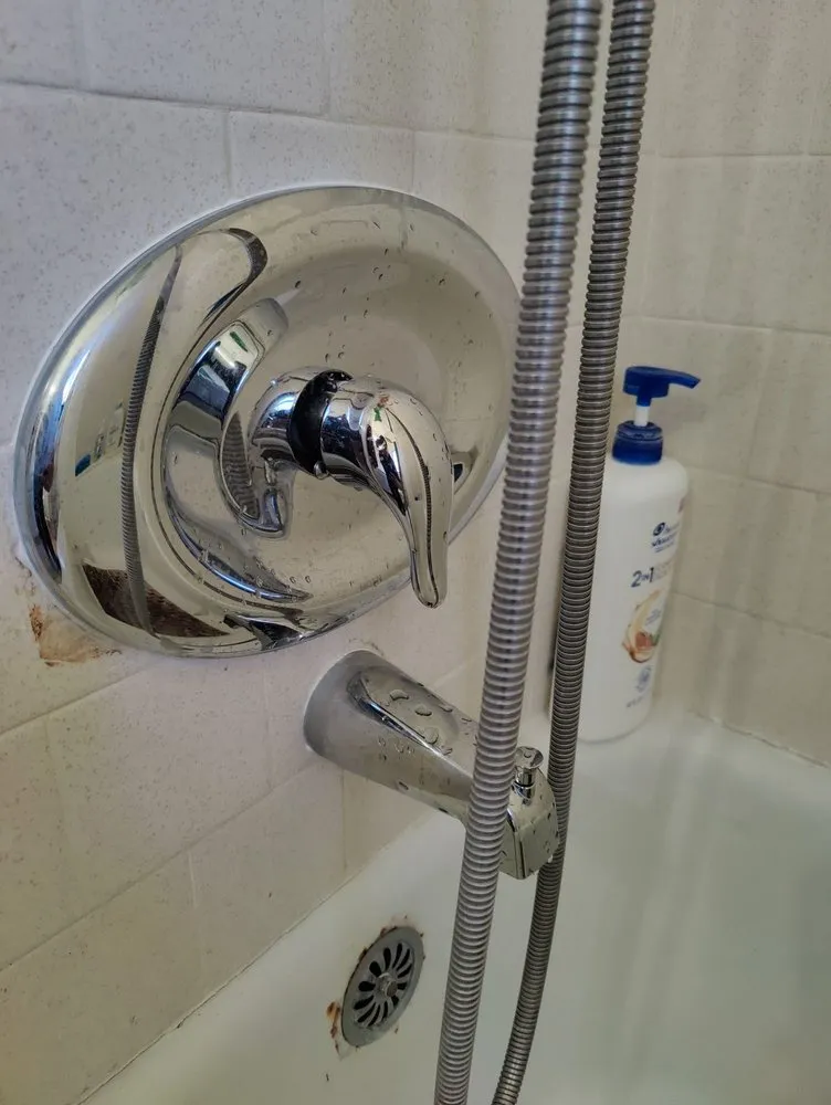 Slide of Allstar Rooter