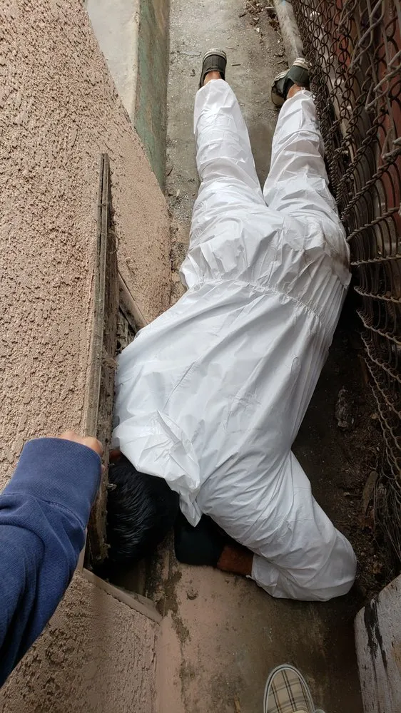 Slide of Allstar Rooter