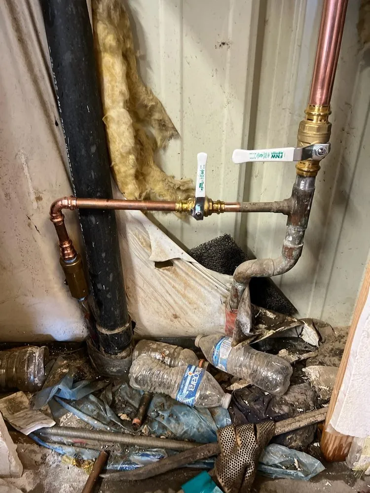 Slide of Allstar Rooter