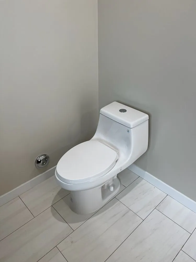 Slide of Allstar Rooter