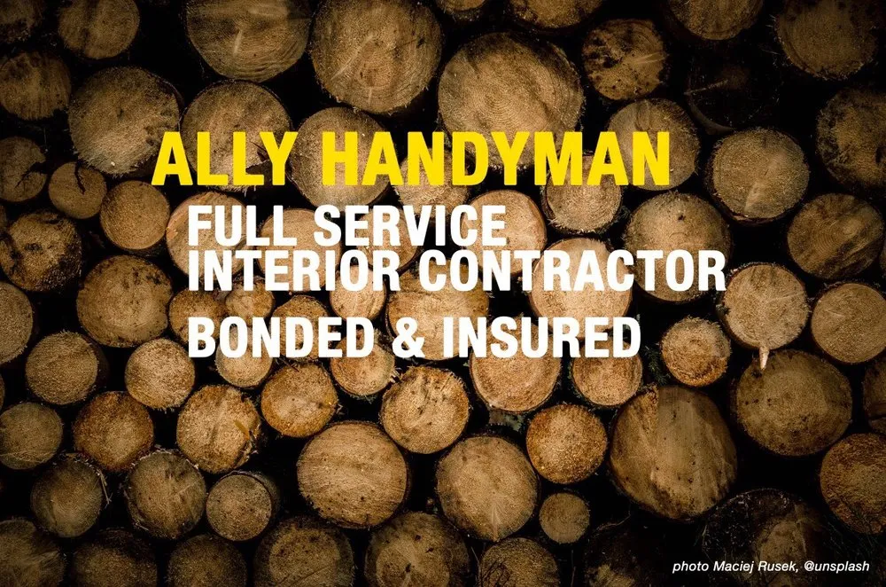 Slide of Ally Handyman