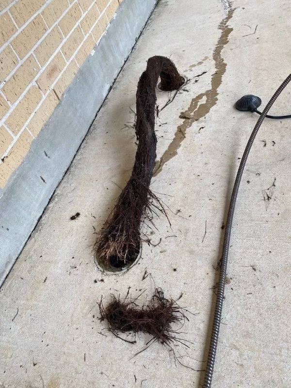 Slide of Almaguer Plumbing