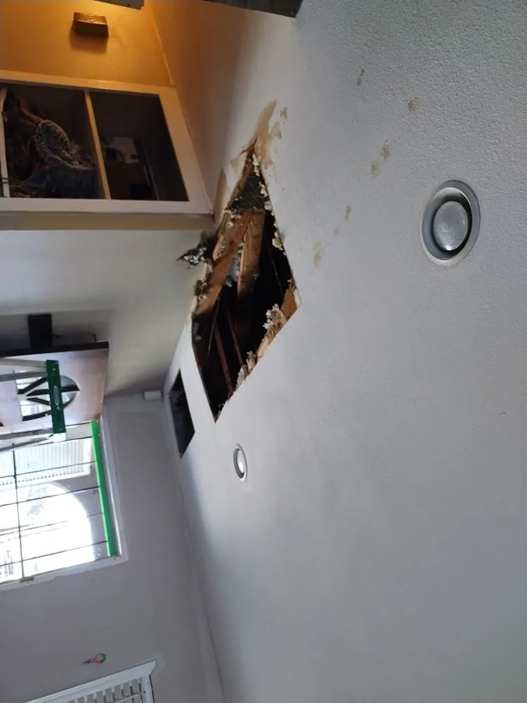 Slide of Aloha Plumbing and Drain Service