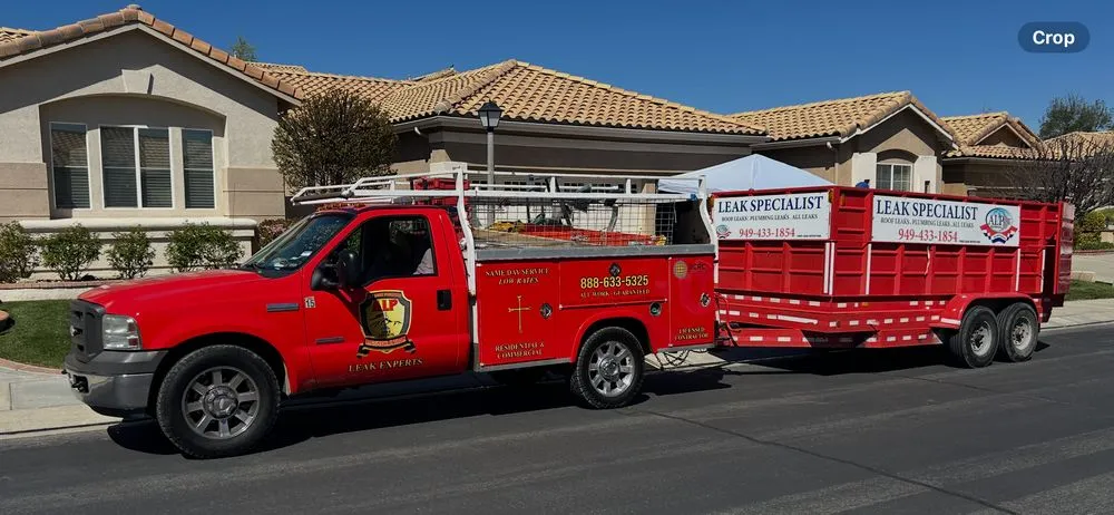 Slide of ALP Restoration