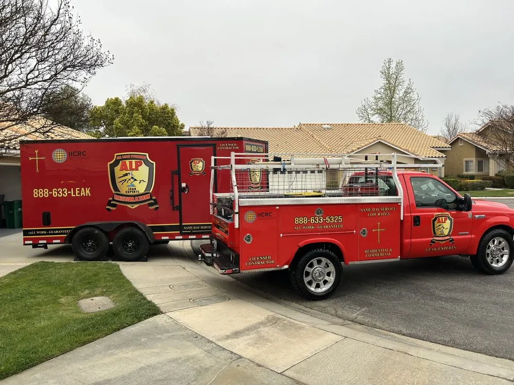 Slide of ALP Restoration