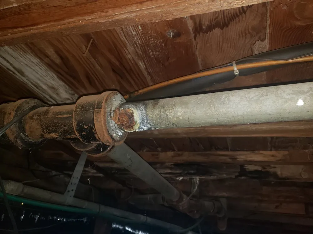 Quality emergency plumbing service in Glendale, CA - Alpha 1 Plumbing and Drain