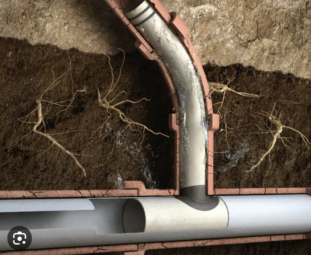 Slide of Alpha-1Rooter And Plumbing