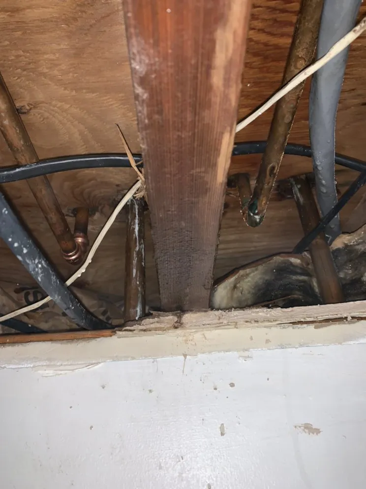 Slide of Alpha Home Services