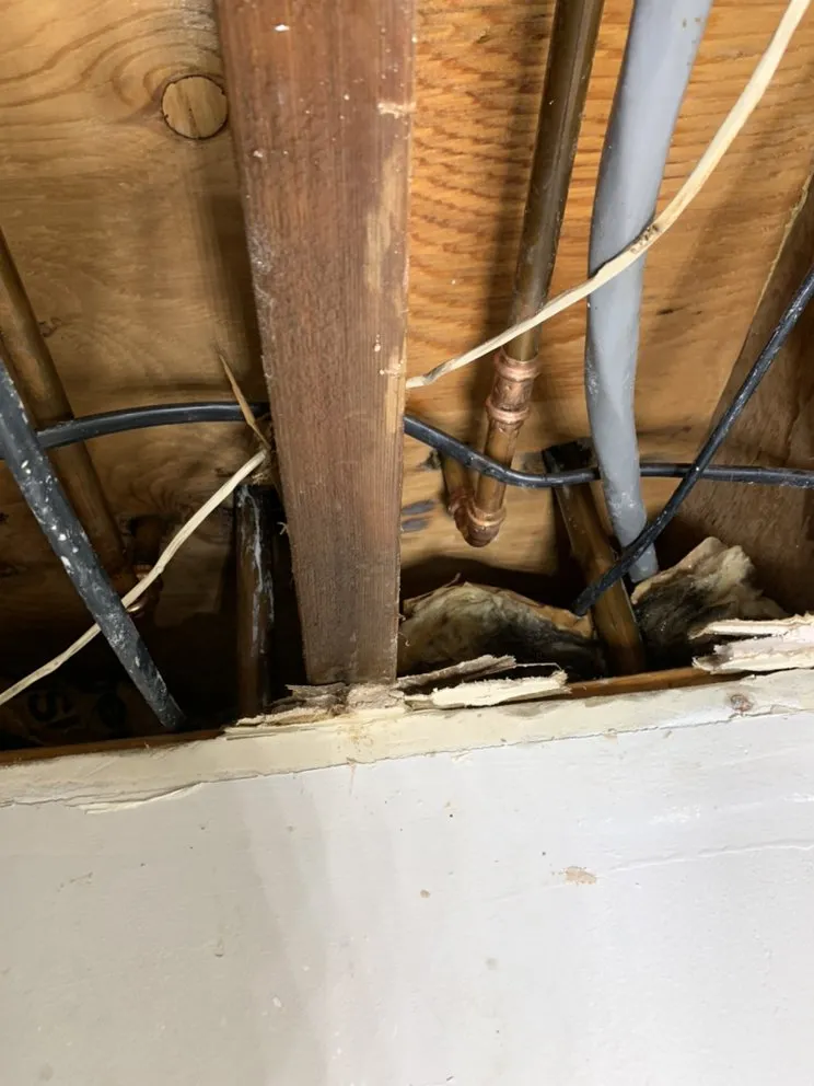 Slide of Alpha Home Services