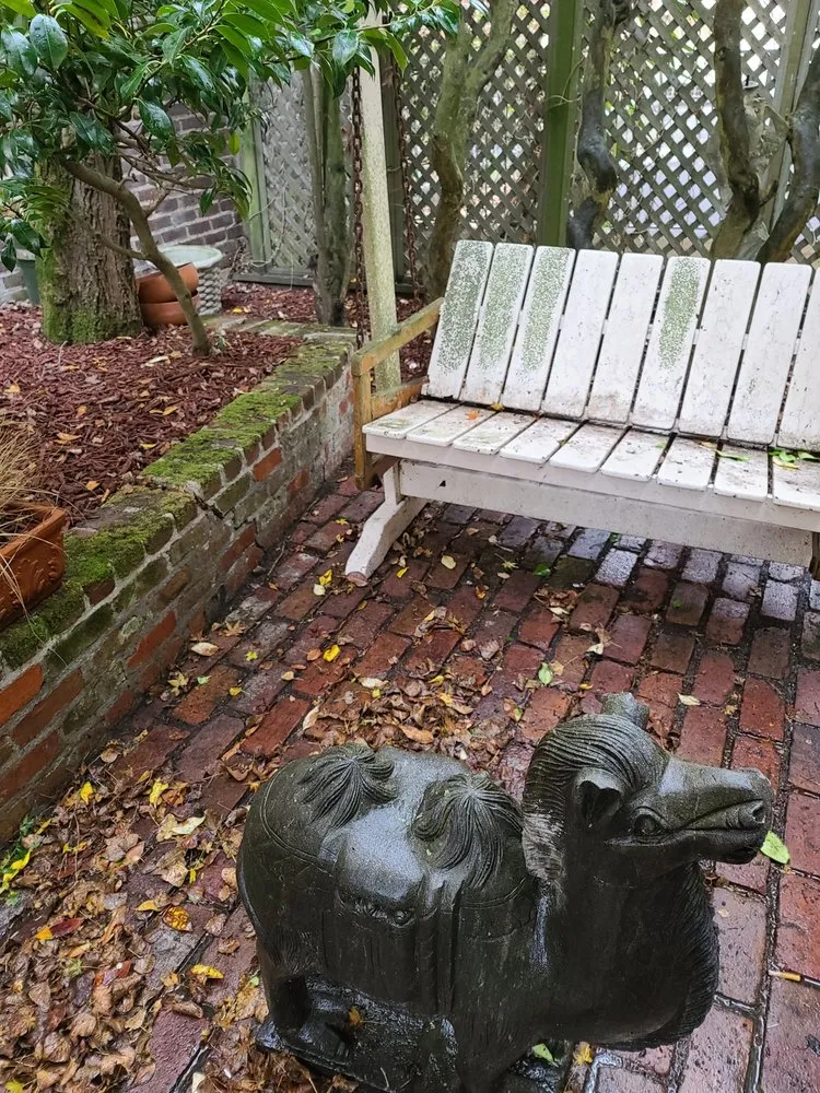 Slide of Alpha Jetting & Pressure Wash