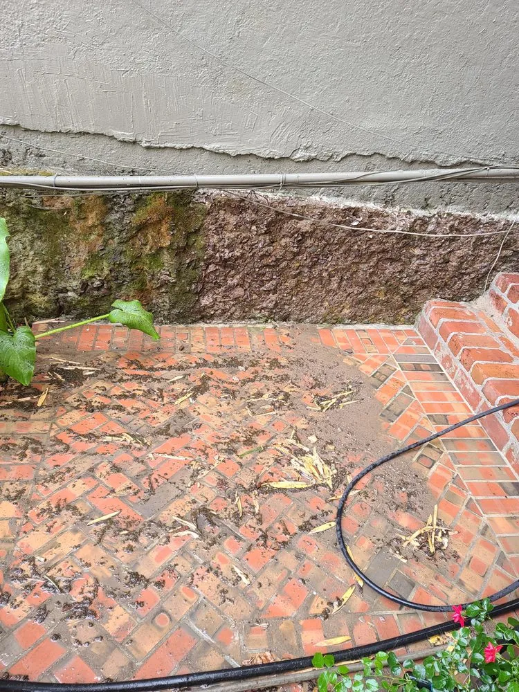 Slide of Alpha Jetting & Pressure Wash