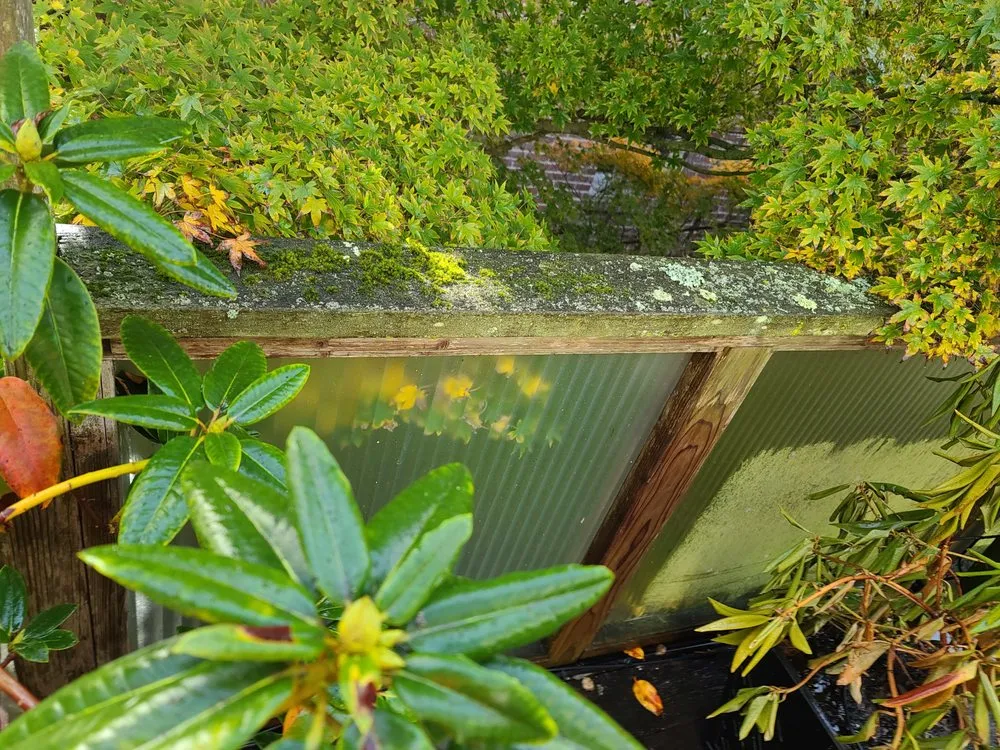 Slide of Alpha Jetting & Pressure Wash