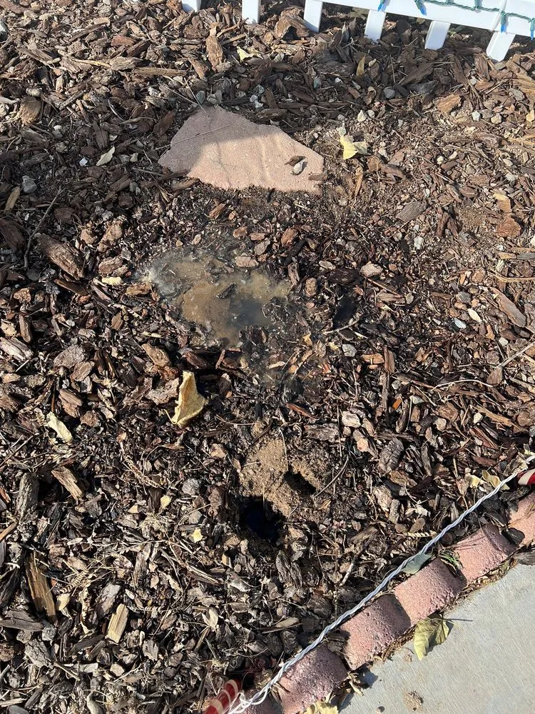 Slide of Alpha Omega Plumbing & Septic