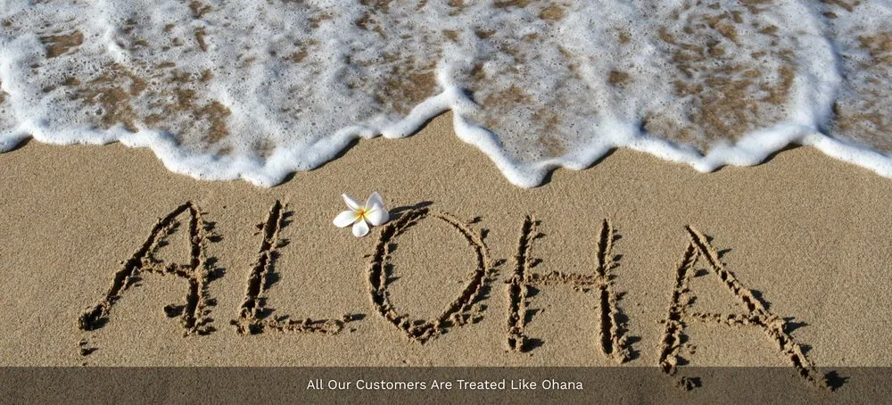 Slide of Alpha Omega Plumbing