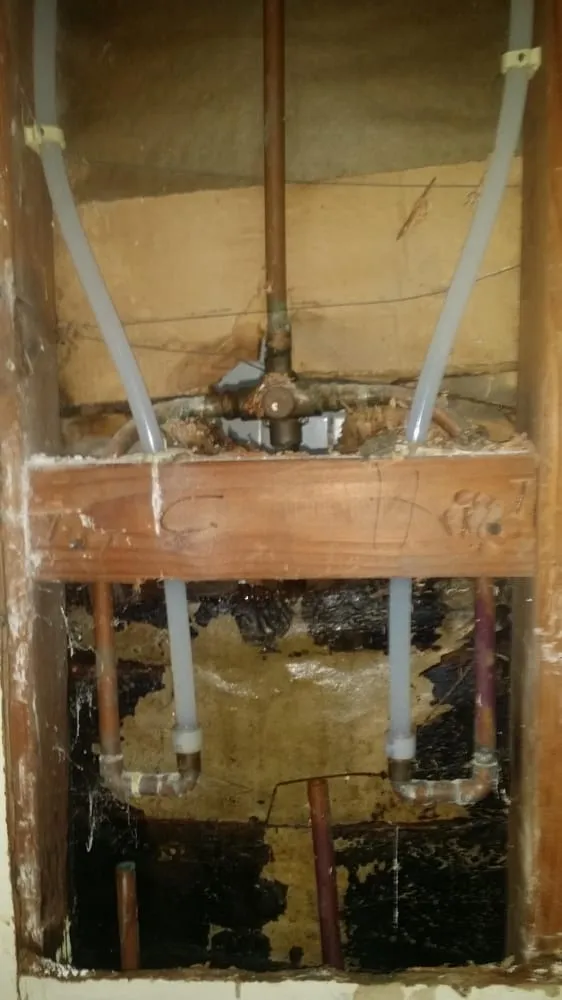 Slide of Alpha Omega Plumbing