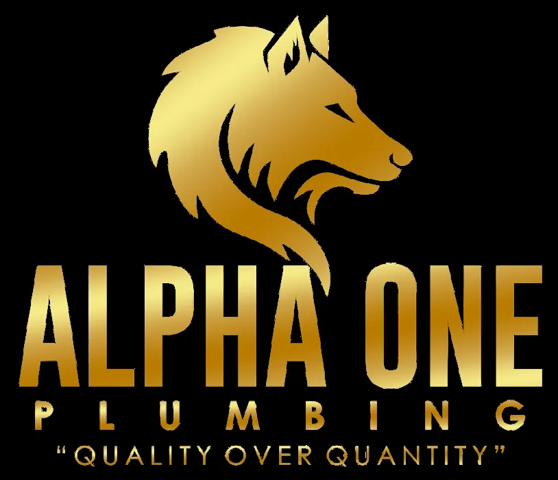 Slide of Alpha One Plumbing