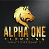 Slide of Alpha One Plumbing
