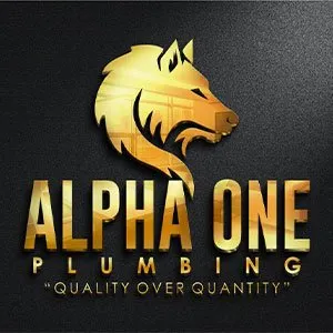 Slide of Alpha One Plumbing