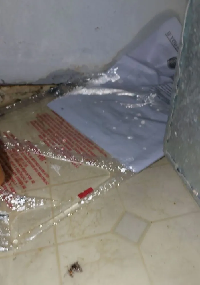 Slide of Alpha Plumbing Company