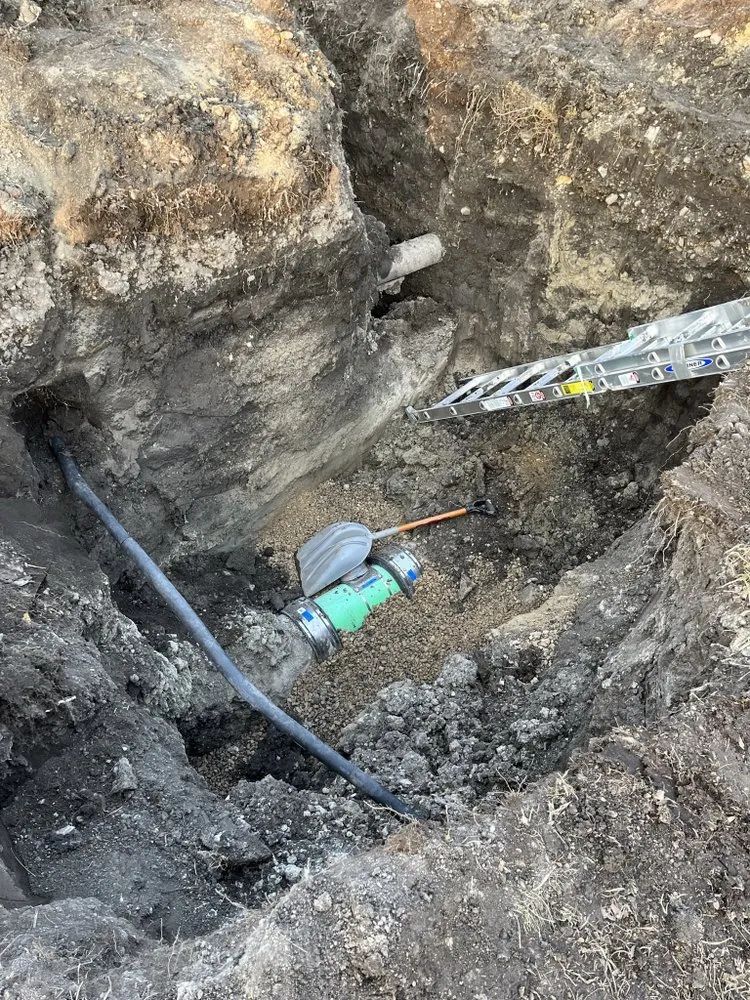 Slide of Alpha Property Solutions