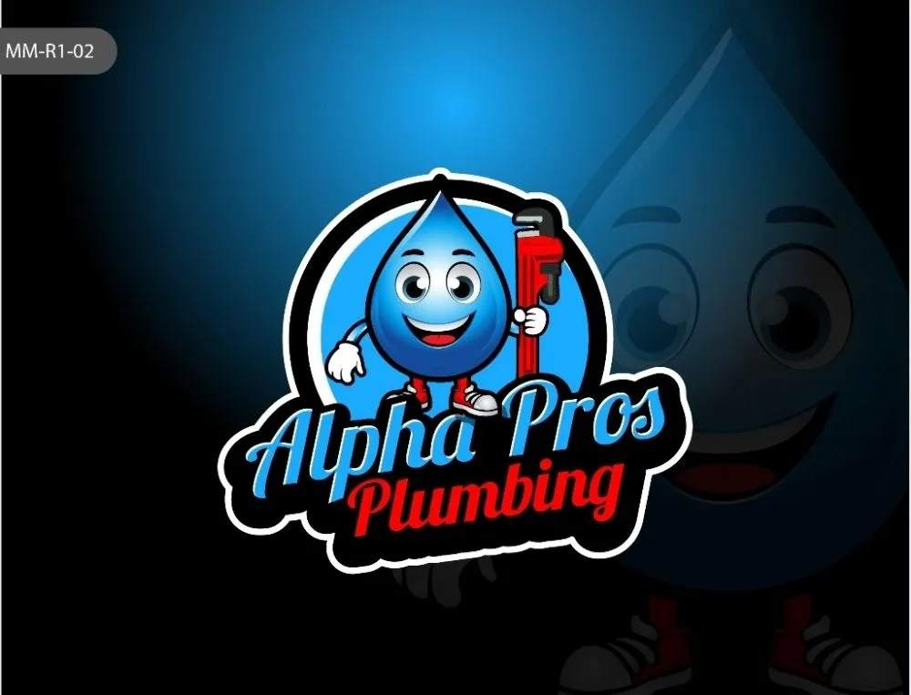 Slide of Alpha Pros Plumbing