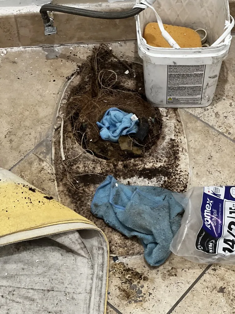 Slide of Alpha Rooter & Plumbing