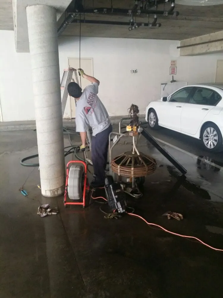 Slide of Alpha Rooter