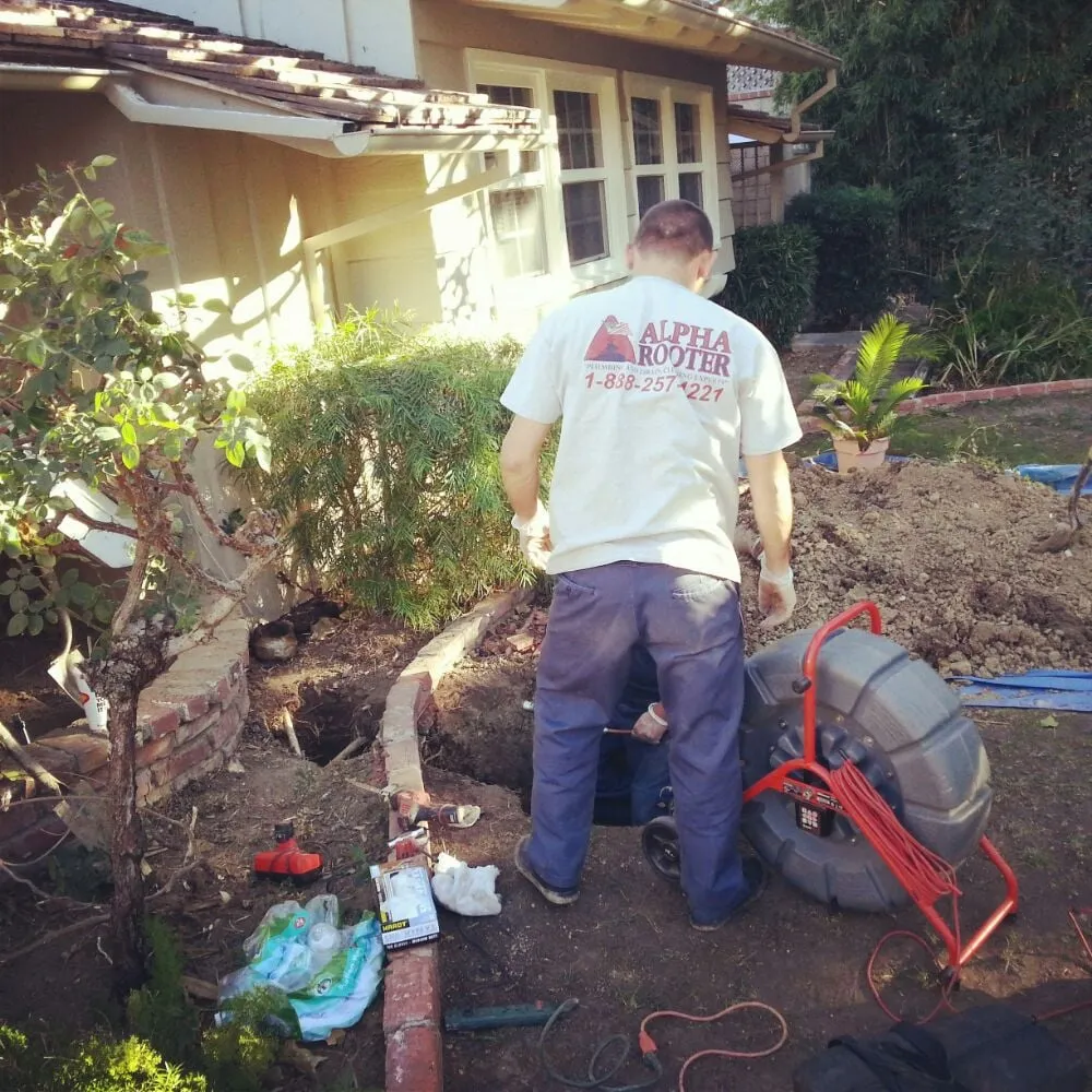 Slide of Alpha Rooter