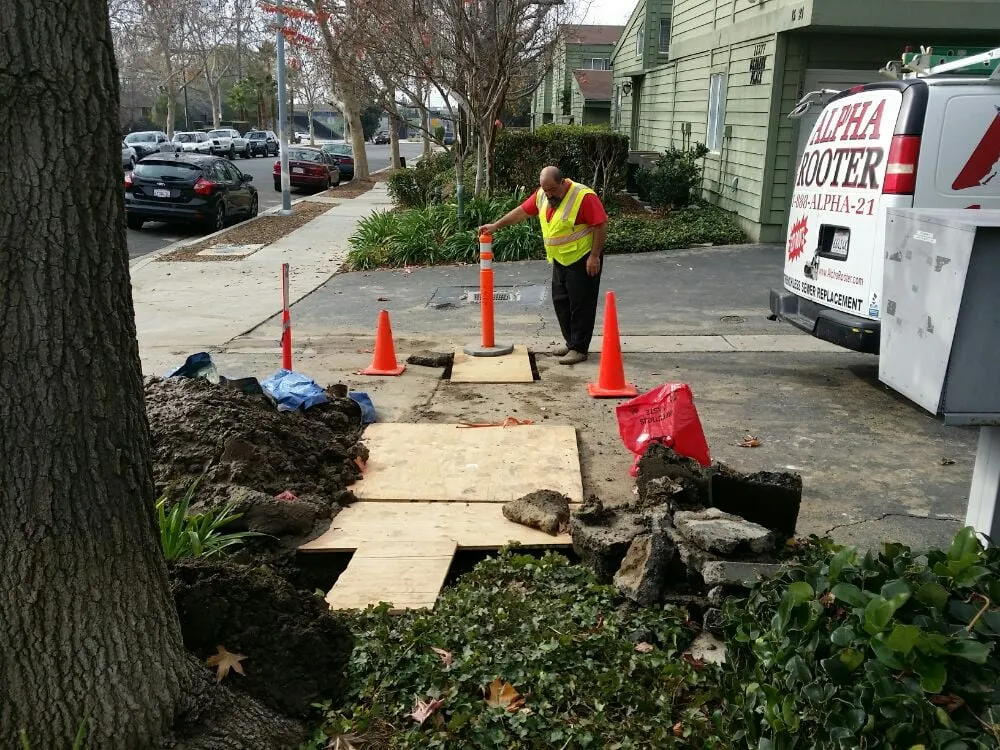 Slide of Alpha Rooter