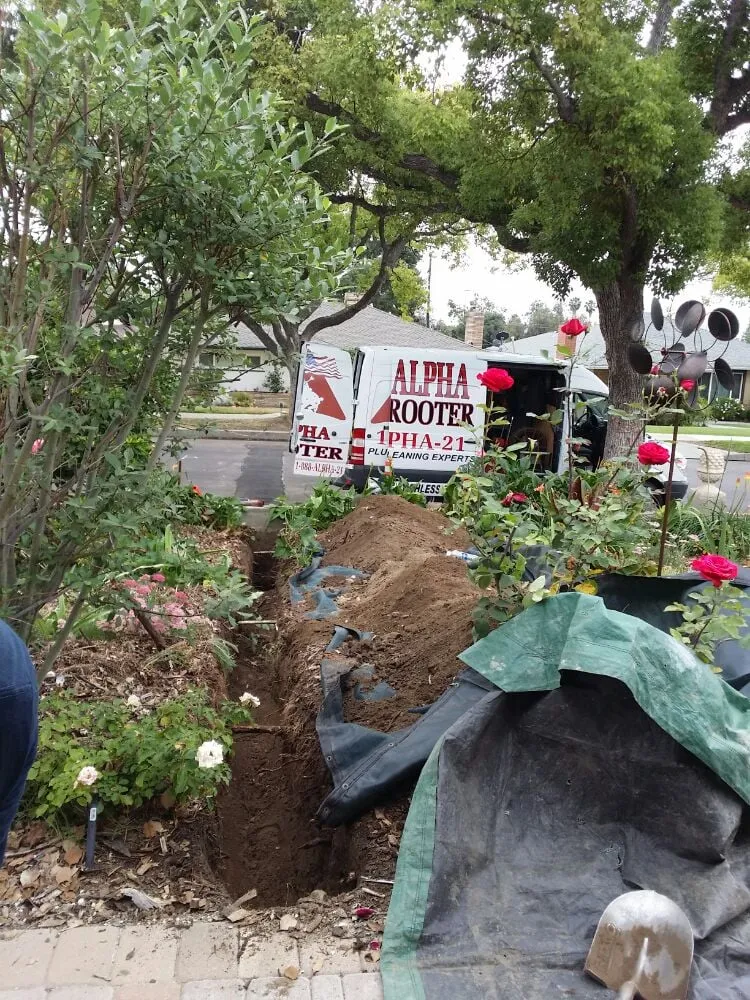 Slide of Alpha Rooter