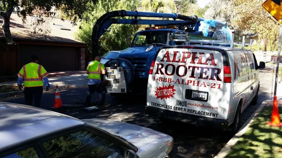 Slide of Alpha Rooter