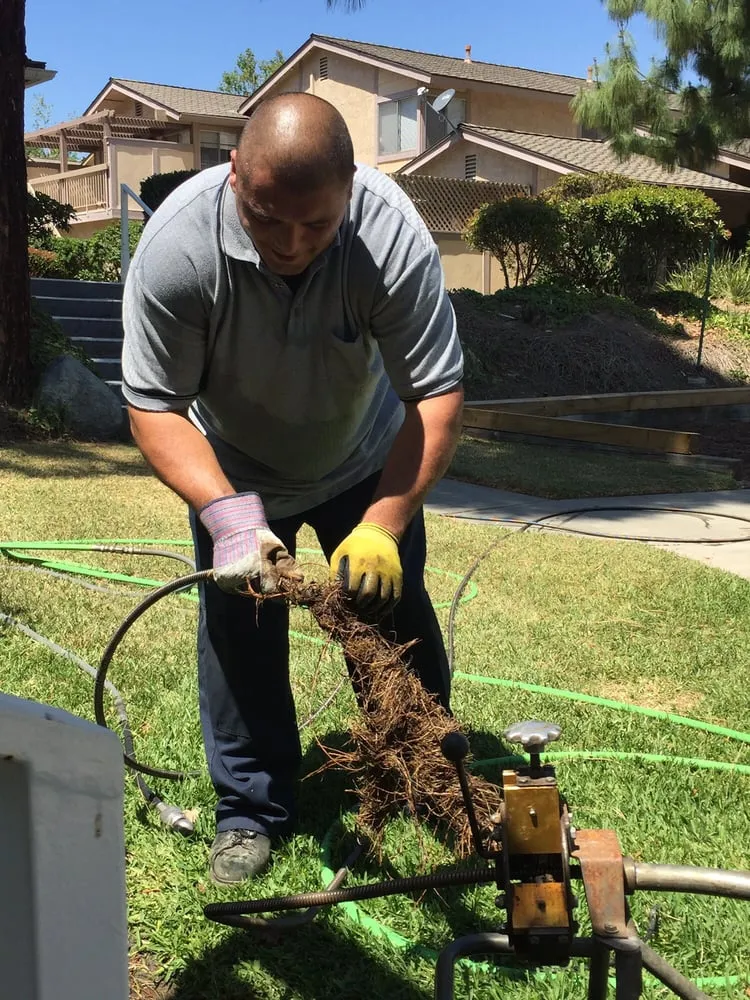 Slide of Alpha Rooter