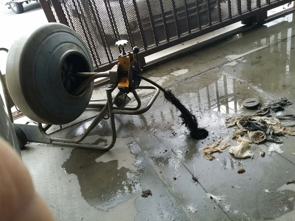 Slide of Alpha Rooter