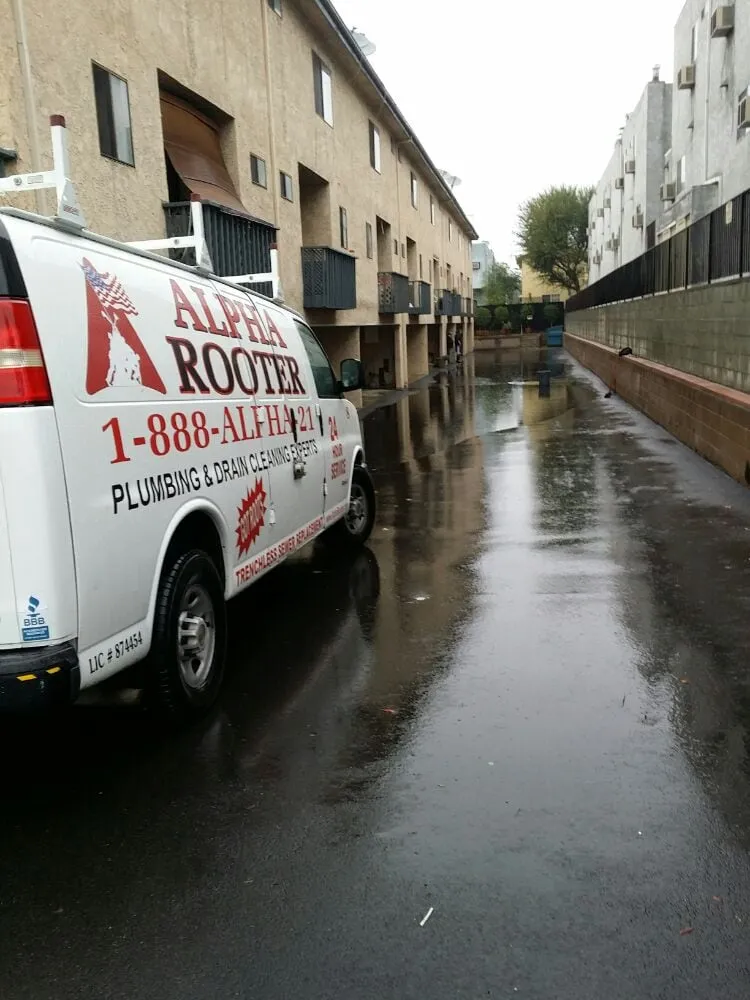 Slide of Alpha Rooter