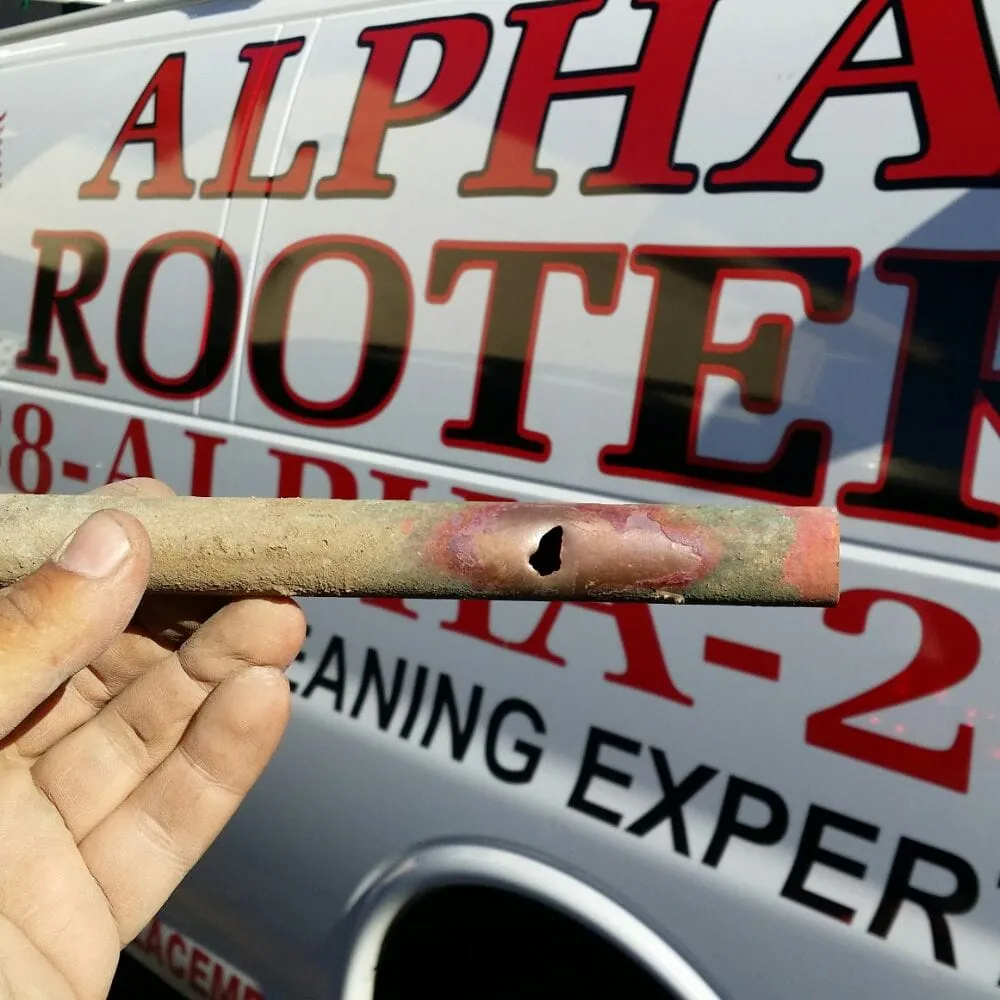 Slide of Alpha Rooter