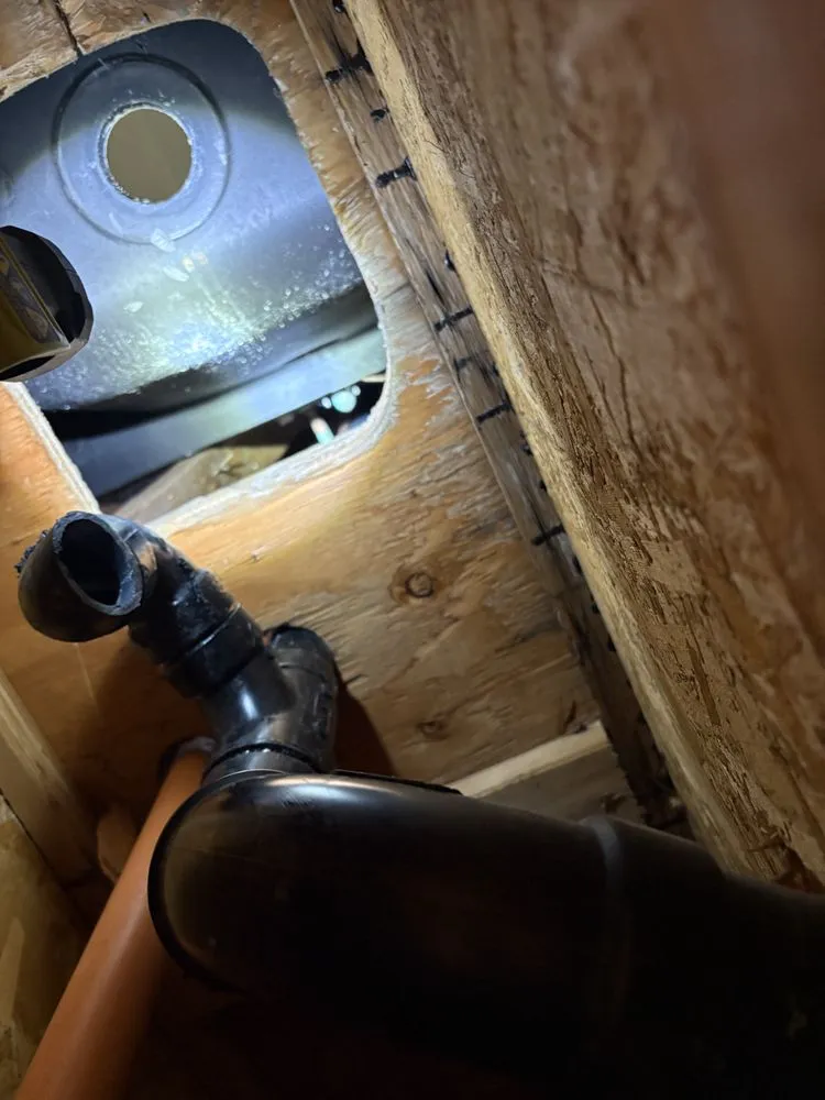 Slide of Alpha San Diego Services