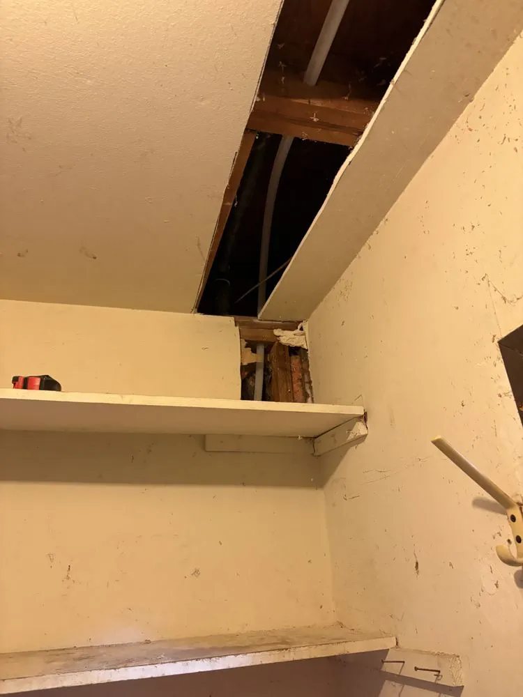 Slide of Alpha San Diego Services